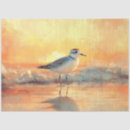 Zoek naar plevier Vogel