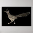 Zoek naar roadrunner kunst Natuur