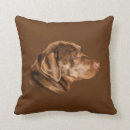 Zoek naar labrador retriever kussens Rekker
