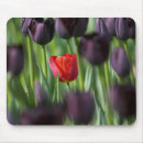 Zoek naar amsterdam muismatten Holland