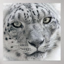 Zoek naar snow leopard kunst Luipaard