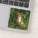 Zoek naar bont stickers Foto