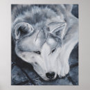Zoek naar akita hond posters Canine