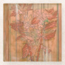 Zoek naar gedrukt onderzetters Modern