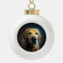 Zoek naar kat en vogel ornamenten Huisdier