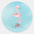 Zoek naar roze flamingo stickers Voor haar