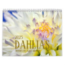 Zoek naar dahlia kalenders Bloemen