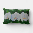 Zoek naar orchideeën kussens Floreel