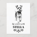 Zoek naar miniature schnauzer briefkaarten Miniatuur schnauzer hond