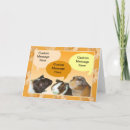 Zoek naar piggies kaarten Cavy
