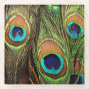 Zoek naar pauw veren onderzetters Fotografie