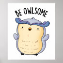 Zoek naar grappige uilen posters Voor iedereen