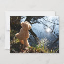 Zoek naar wildlife posters briefkaarten Beer