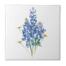 Zoek naar ster tegels Texas