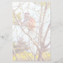 Zoek naar structuur briefpapier Natuur