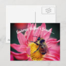 Zoek naar bee briefkaarten Natuur