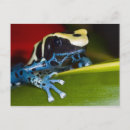 Zoek naar suriname briefkaarten Kikker