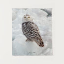 Zoek naar sneeuwuil kunst Dier