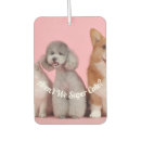 Zoek naar leuke auto interieur accessoires Kat