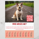 Zoek naar honden flyers Elk persoon