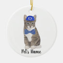Zoek naar tabby cat ornamenten Tabletkat