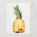Zoek naar ananas briefkaarten Vintage