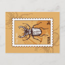 Zoek naar beetle briefkaarten Insect