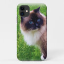 Zoek naar groene ogen iphone hoesjes Kitten