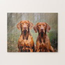 Zoek naar vizsla puzzels Puppy