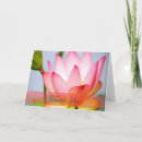 Zoek naar punta lotus kaarten Voor iedereen