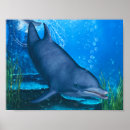 Zoek naar onderwater wereld posters Zee