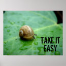 Zoek naar slakken posters Close up