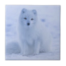 Zoek naar wilde dieren tegels Natuur