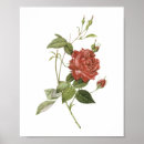 Zoek naar thee plant posters Voor haar