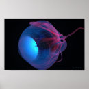 Zoek naar oog posters Zij