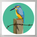 Zoek naar kingfisher kunst Wild