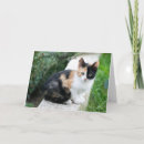 Zoek naar grappige notitiekaarten Voor kattenliefhebber