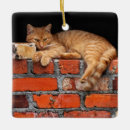 Zoek naar brick ornamenten Rood