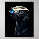 Zoek naar grappige labrador posters Hond