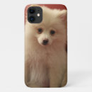 Zoek naar pomeranian hond iphone hoesjes Schattig