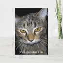 Zoek naar humoristische katten kaarten Elk persoon