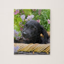 Zoek naar labradors puzzels Voor kinderen