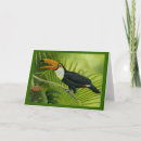 Zoek naar toekan kaarten Leuk