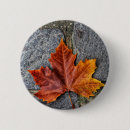 Zoek naar herfst blad buttons Sinaasappel