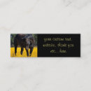 Zoek naar paarden mini visitekaartjes Equine