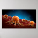 Zoek naar immunologie posters Kunstwerk