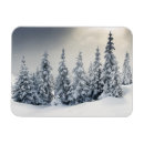 Zoek naar koud klimaat posters Alp