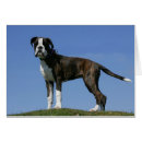 Zoek naar boxer puppy briefkaarten Brindle