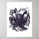 Zoek naar weekdieren posters Octopi