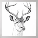 Zoek naar herten tekening kunst Dier